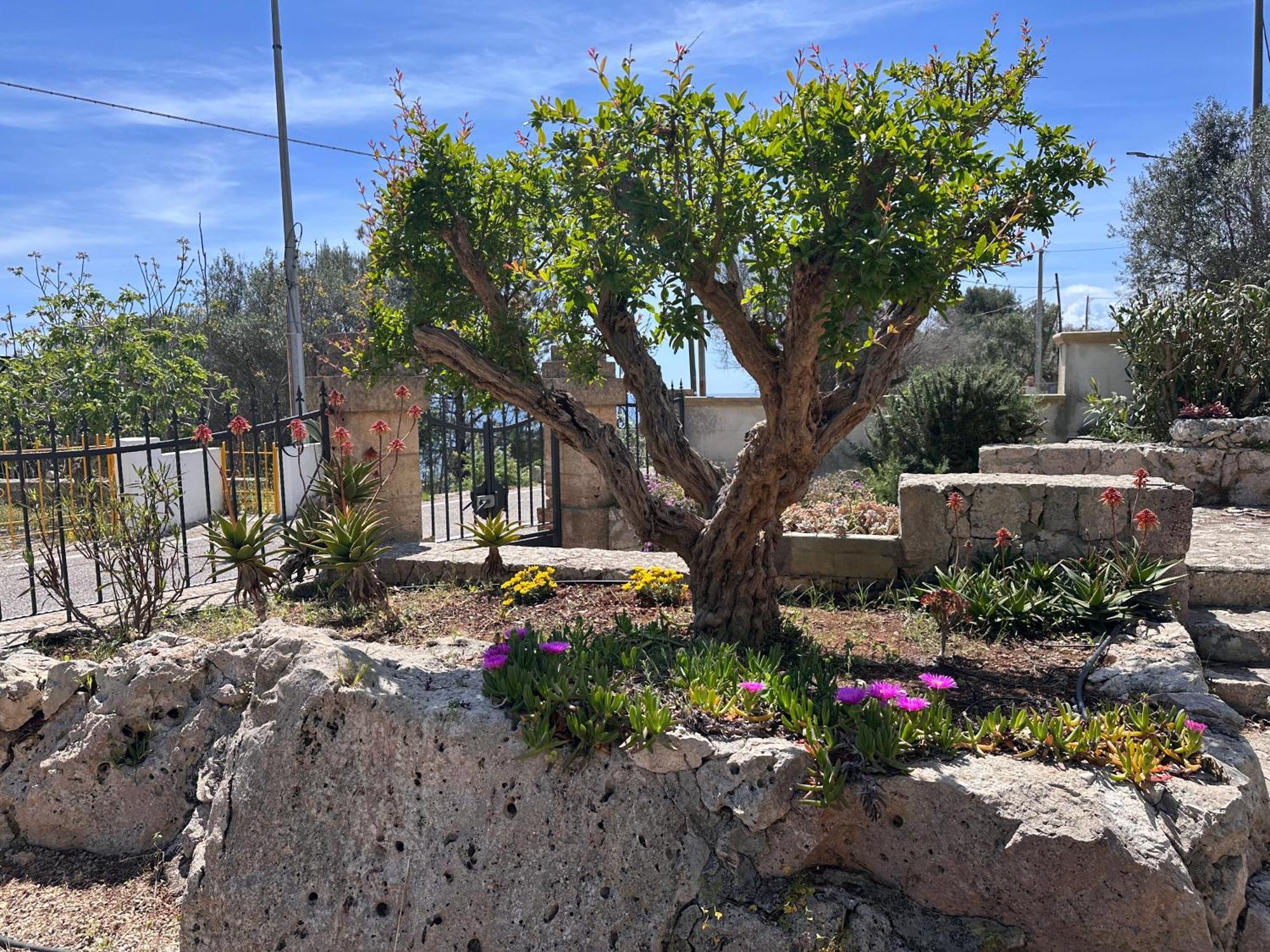 Villetta Dagre Fronte Mare Marittima Dış mekan fotoğraf
