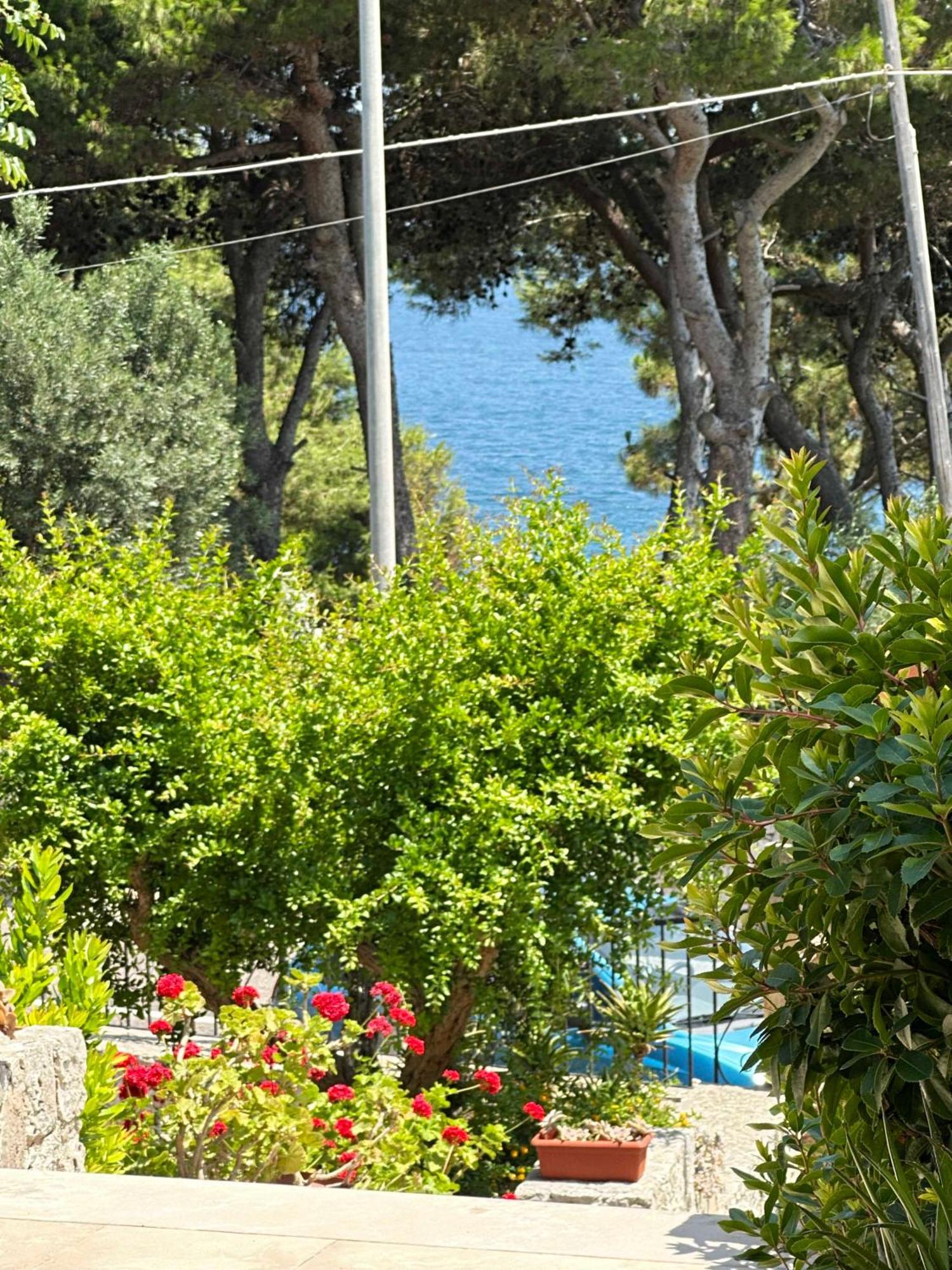 Villetta Dagre Fronte Mare Marittima Dış mekan fotoğraf